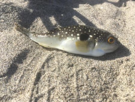 釣り納め　福を呼ぶ