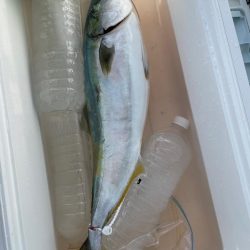 瀬戸内海西側ジギング