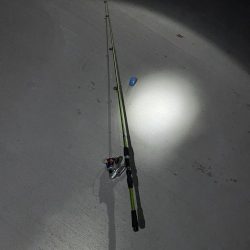 南芦屋浜での釣果