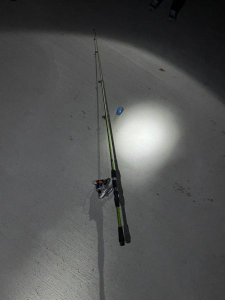 南芦屋浜での釣果