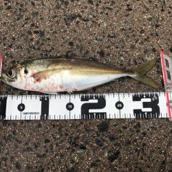 寒い山陰地方❄️