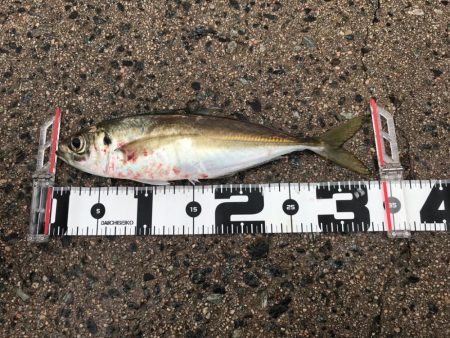 寒い山陰地方❄️