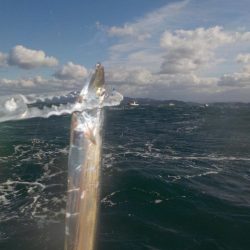 タチウオ最終戦・初タチウオジギング〜盛和丸〜