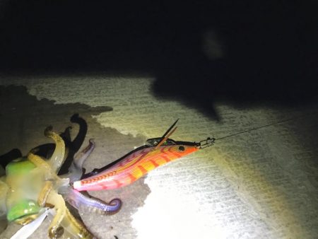 やったぜアオリ!