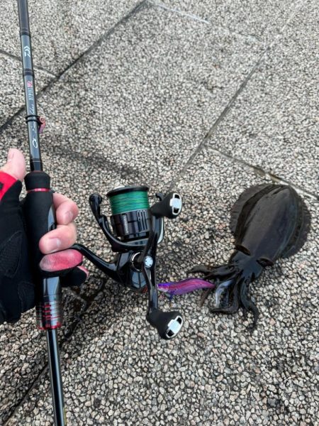 12月も懲りずにエギングで何とかキャッチ!