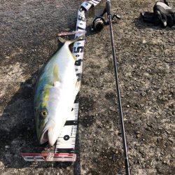 ライトすぎるタックルでも飲ませ成功!