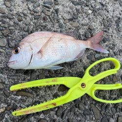 目標達成でいいですよね？