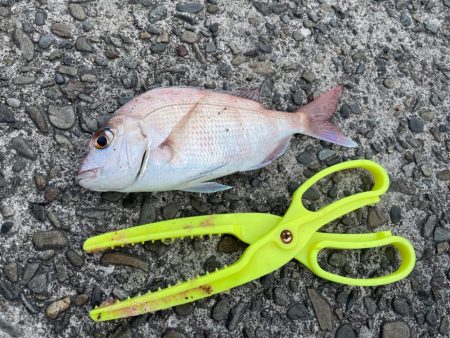 目標達成でいいですよね？