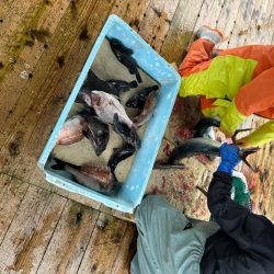 海上釣り堀 傳八屋