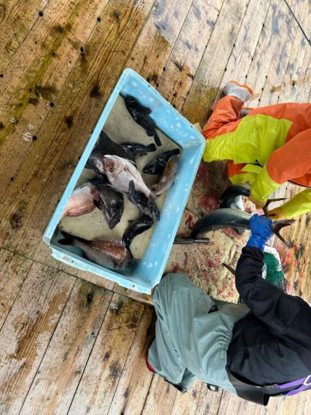海上釣り堀 傳八屋