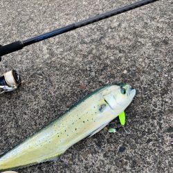 ペンペン狩りでLast surprise