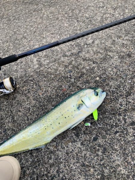 ペンペン狩りでLast surprise