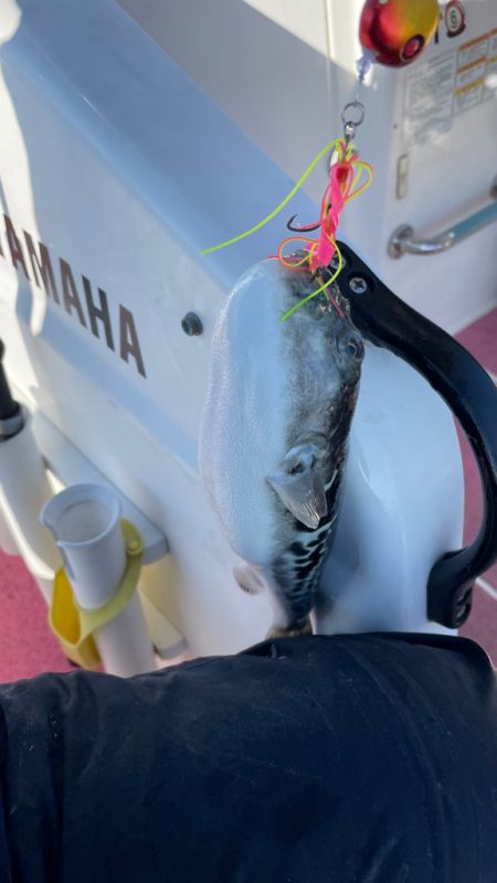 次こそはとリベンジしますが