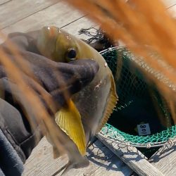初めての海恵さん