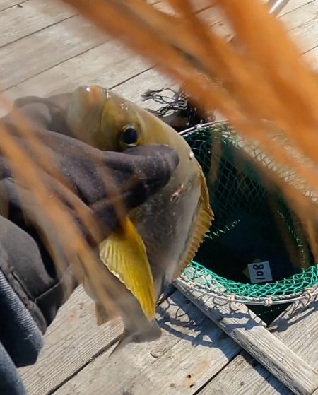 初めての海恵さん