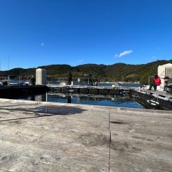 海上釣り堀　あなたに逢い鯛