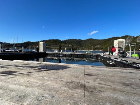 海上釣り堀　あなたに逢い鯛