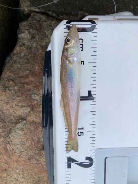 赤灯台〜東二見釣行!