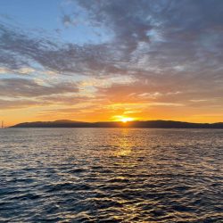 恵比寿丸でジギング