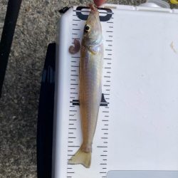 赤灯台〜東二見釣行！