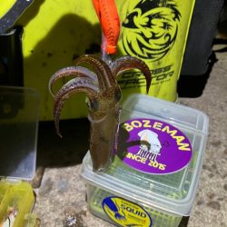 プチ1091ヒイカ釣り(^^)／