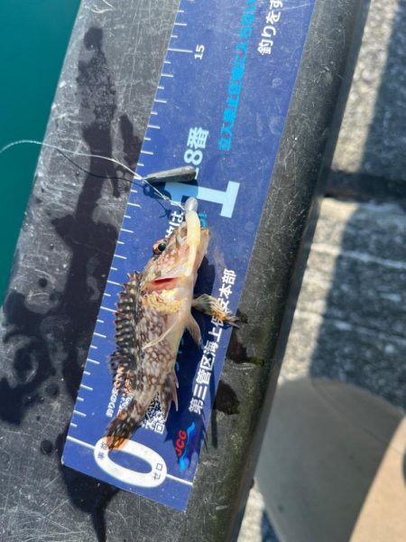 帰省途中の癒し