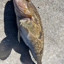 ちょー久々堤防ロック