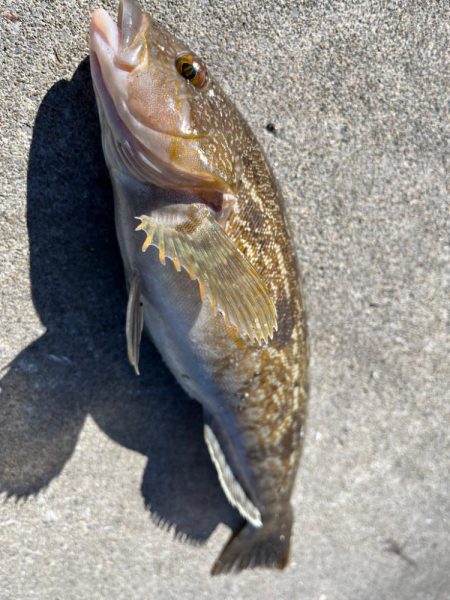 ちょー久々堤防ロック