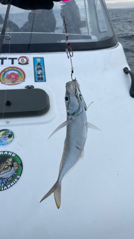 本命ならず（苦笑）