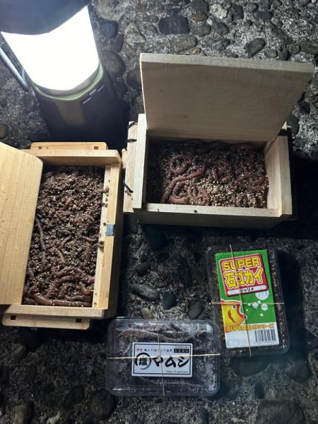 年末、釣り納め、クリスマスカレイ狙い