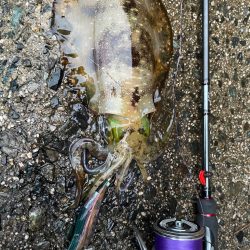 寒波来る前に！