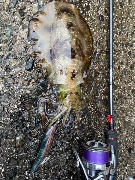 寒波来る前に！