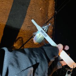 予報と違う風(๑•ૅㅁ•๑)