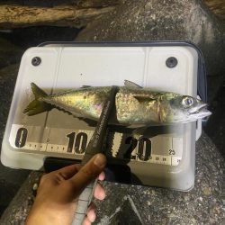 フロートアジング