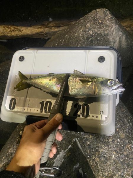 フロートアジング