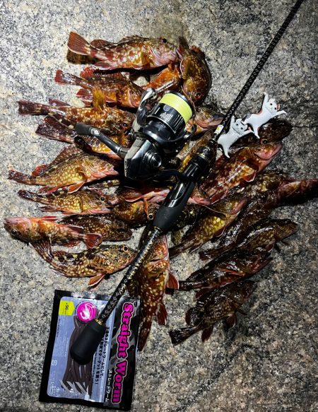 メバリングのはずが。。。