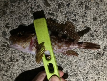 メバリング、アジング