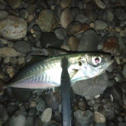 いつものフロートゲーム～