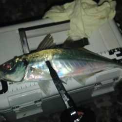 (尺アジ)フロートゲーム～