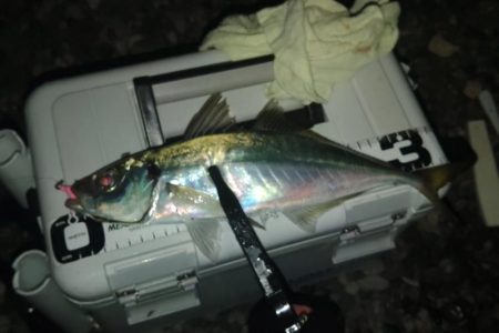 (尺アジ)フロートゲーム～