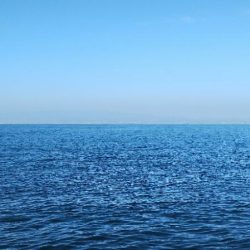 大阪フカセ釣り