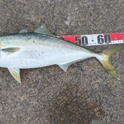 ハプニングあるも