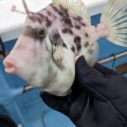 オフショアは楽しい