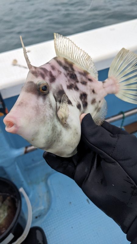 オフショアは楽しい