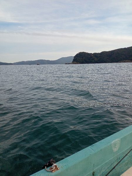 伊島近海鯛ラバ