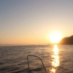 鳴門海峡ジギング・鯛ラバ