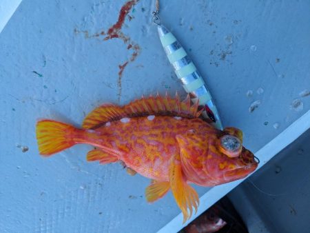 スロージギング