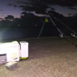 苅屋海岸の投げ釣り