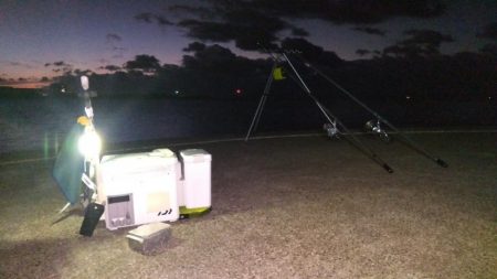 苅屋海岸の投げ釣り