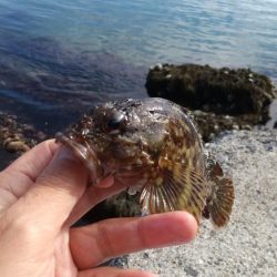 釣り納めかな？